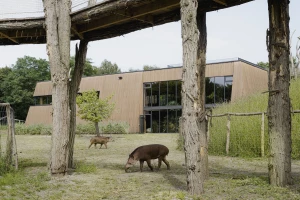 Future Garden: A temple for tapirs by Belgian artist Koen Vanmechelen, BURO B, and Thys Bouwprojecten