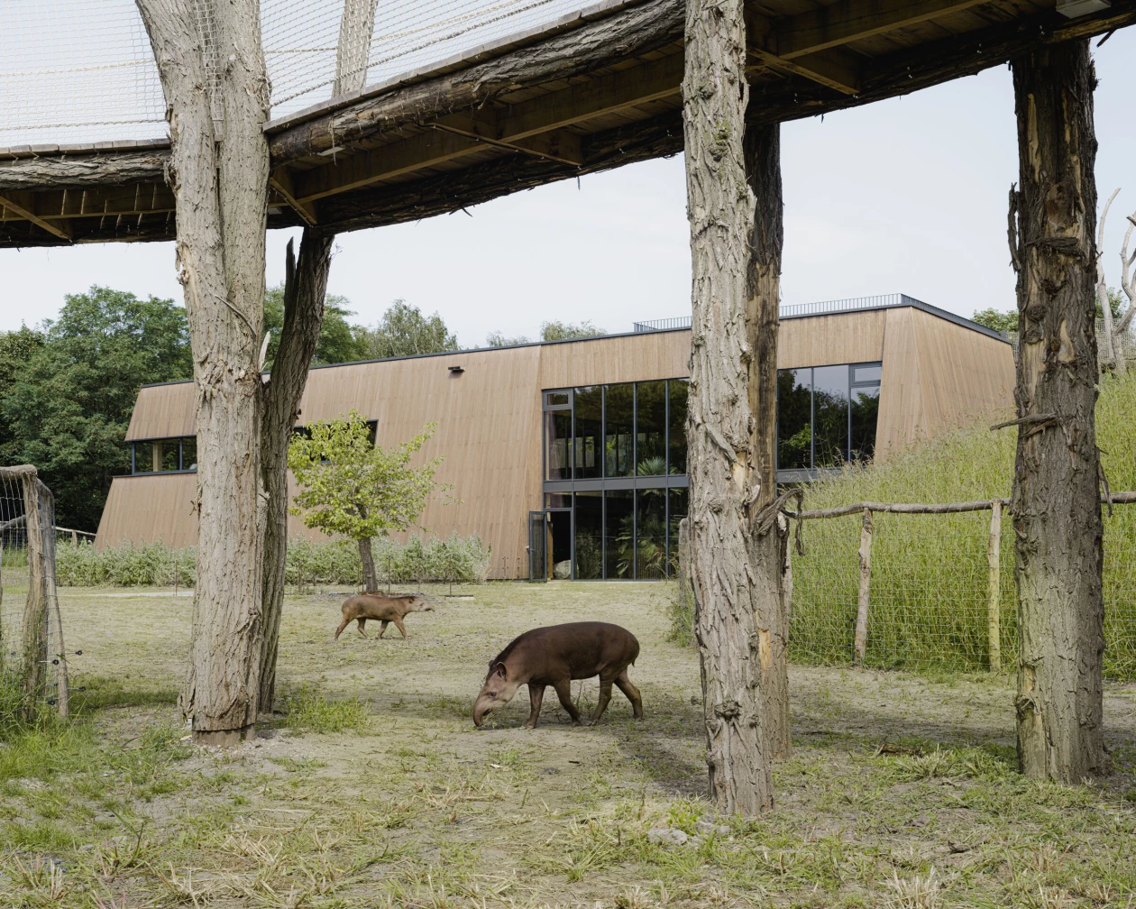 Future Garden: A temple for tapirs by Belgian artist Koen Vanmechelen, BURO B, and Thys Bouwprojecten