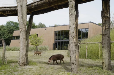 Future Garden: A temple for tapirs by Belgian artist Koen Vanmechelen, BURO B, and Thys Bouwprojecten