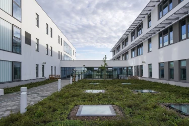 Courtyard above the dining room.